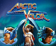 Arctic Valor